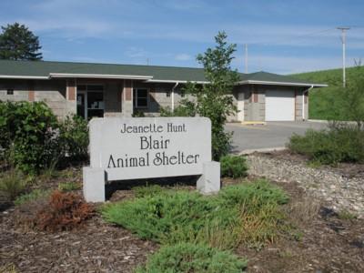 Animal Shelter, front
